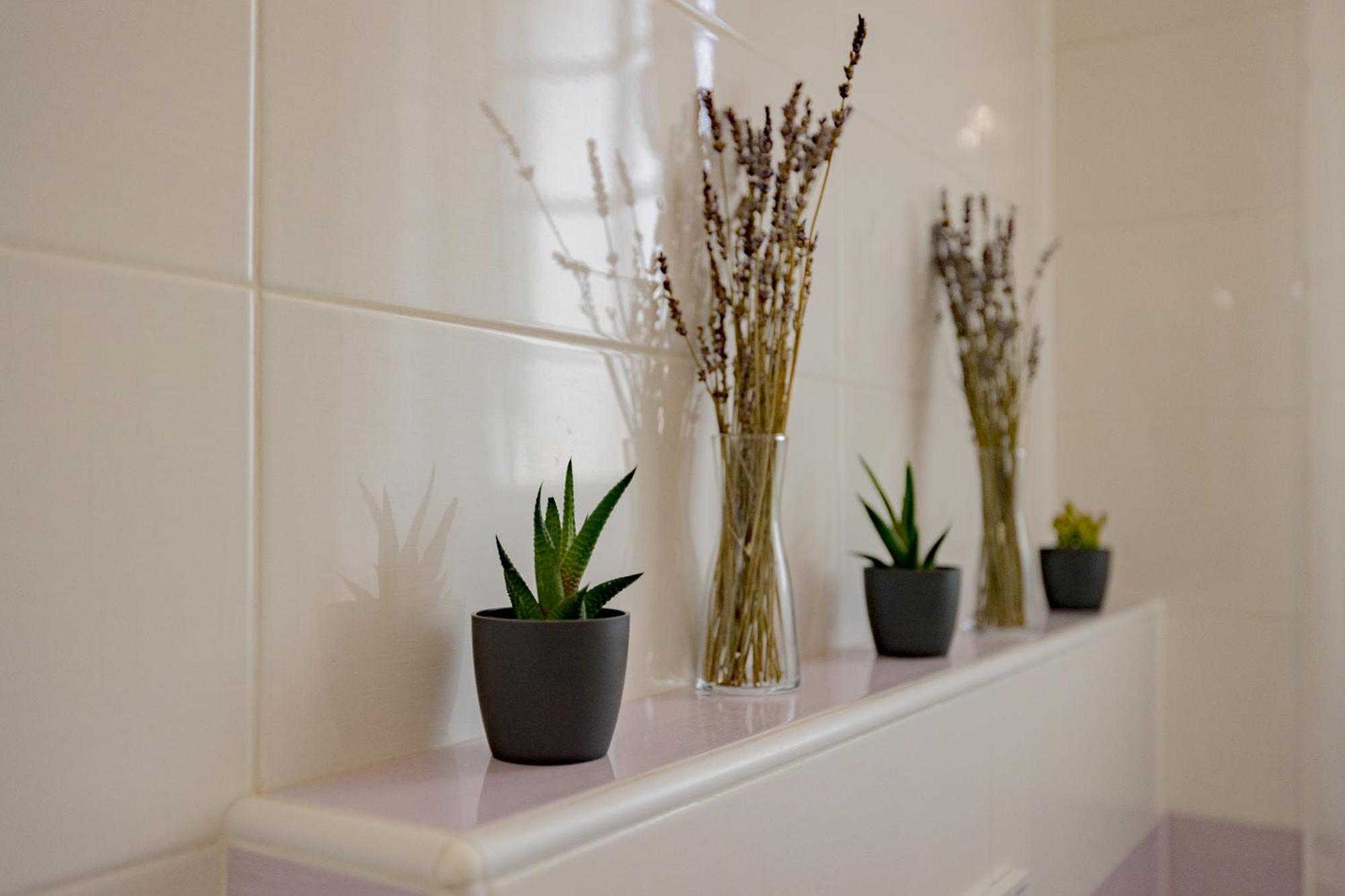Serendipitycomo Appartement